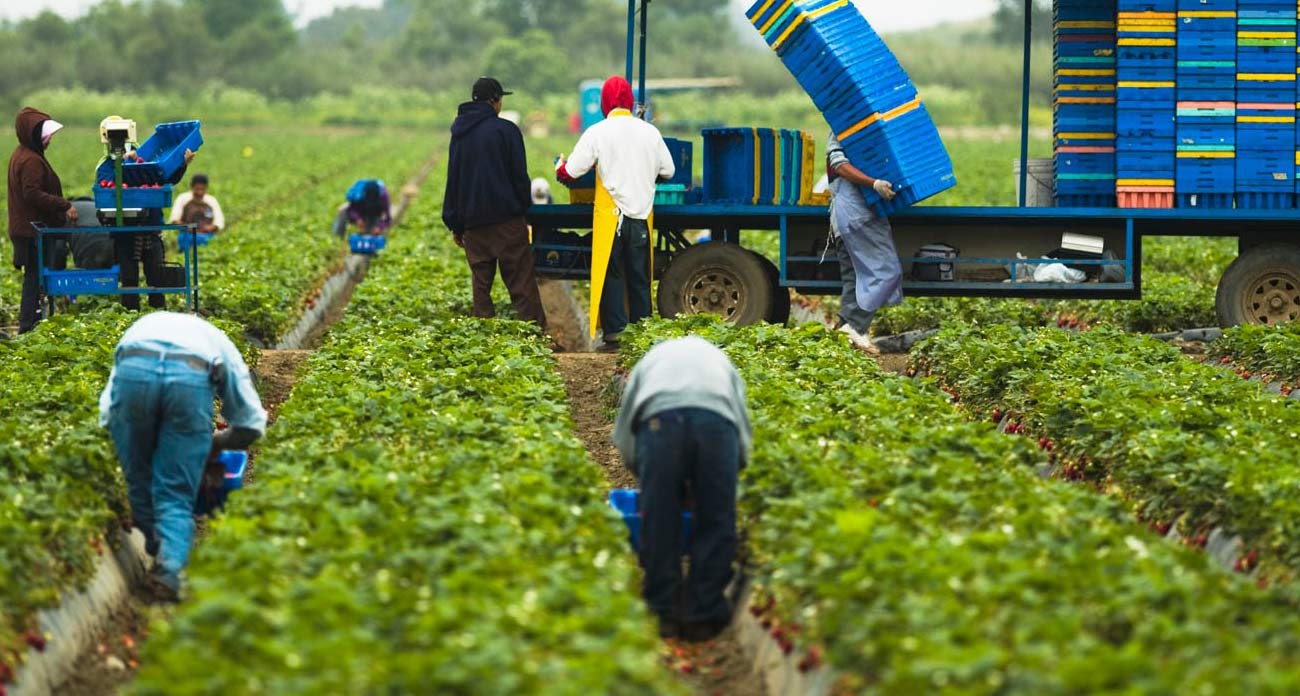 Why Our Work Matters House Farm Workers